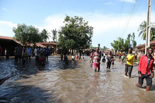 Kano Floods 2024: 49 Dead, 226 Communities Affected, SEMA Confirms