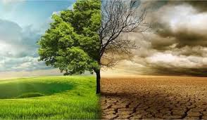 COP29: Okereke Urges Global Leaders for Decisive Climate Action