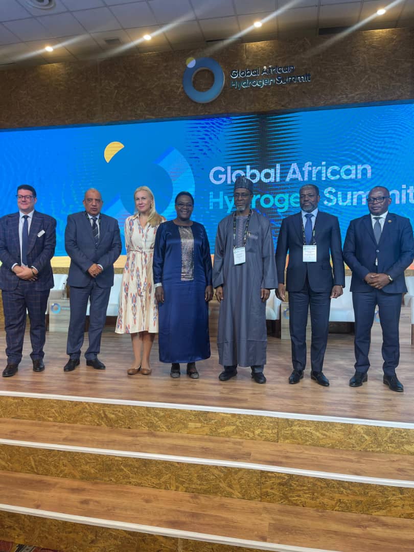 Nigeria Aims for Green Economy Transition with Hydrogen Energy Initiatives