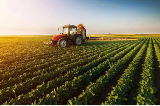 ‘Youths Can Apply Technology in Agribusiness for Greater Productivity’