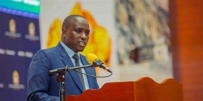 Tanzanian Official Advocates for Equitable and Sustainable Energy in Africa