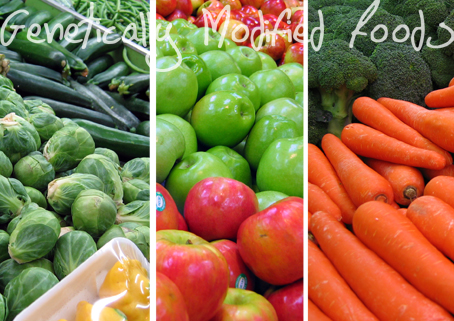 Biotech Society Advocates for GM Crops