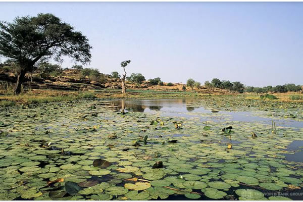 Nigeria’s Wetlands Face Extinction by 2035