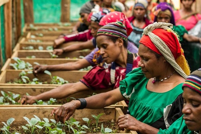 Access Bank to Celebrate ‘Power of 100’ Awardees at IWD 2025 Conference
