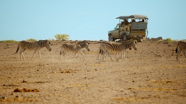 Nigeria’s NESREA and WJC Sign MoU to Boost Wildlife Protection