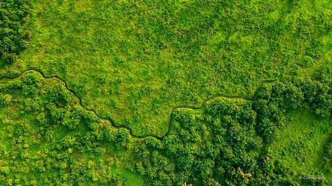 Earth Day 2025: ‘Our Power, Our Planet’ Calls for Collective Climate Action