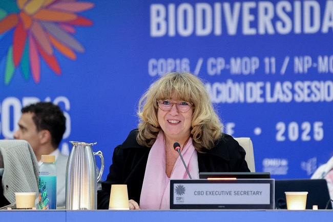 Biodiversity Vital for Global Health – Schomaker