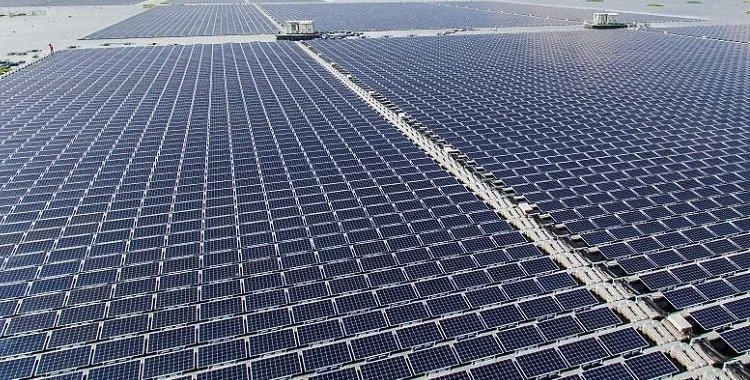 Renewables Achieve Record Growth in 2024