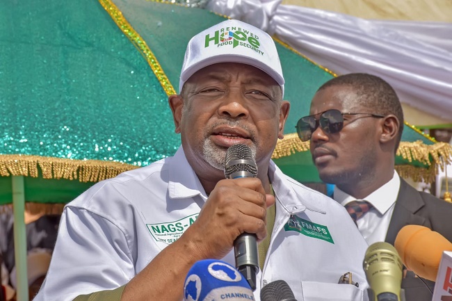 Nigeria Secures $134 Million AfDB Loan to Boost Food Security and Agricultural Productivity