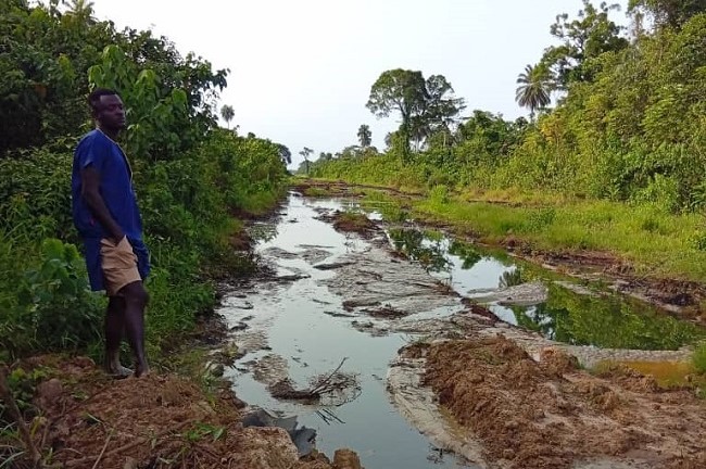 PESMDAA Calls for Collective Action Against Environmental Degradation in Nigeria