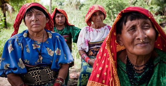 New Report Highlights Indigenous Women’s Leadership in Climate and Rights Response