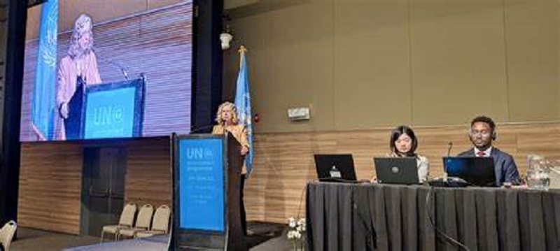 Global Leaders Establish New Science‑Policy Panel on Chemicals, Waste & Pollution