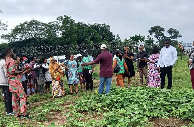 Stakeholders Advocate GMO Technology to Enhance Food Security in Nigeria